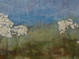 Cow Parsley.jpg